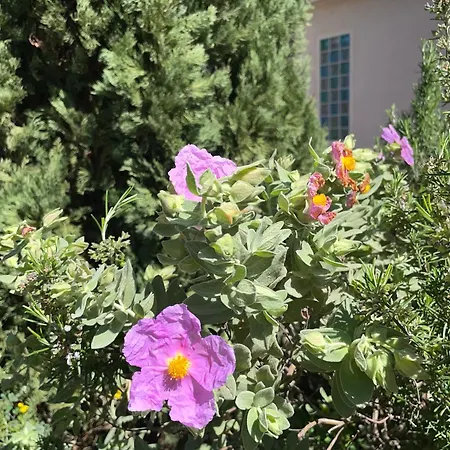Villa Au Calme Dans La Campagne Aixoise, Entoure De Cypres Aix-en-Provence Exterior foto